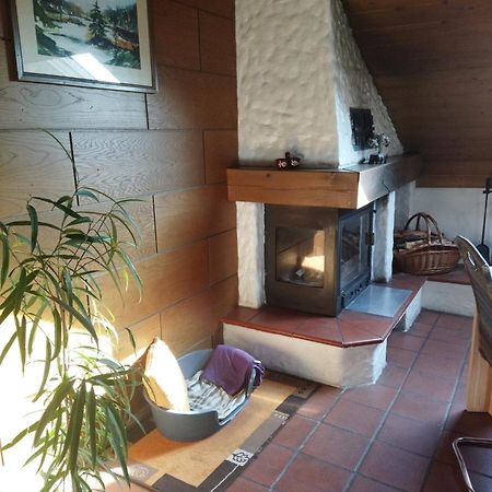 Aussergewoehnliche Atelierferienwohnung Mit Balkon An Der Donau Winzer Ngoại thất bức ảnh