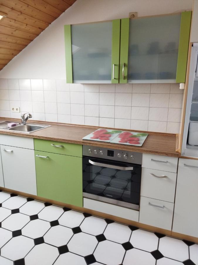 Aussergewoehnliche Atelierferienwohnung Mit Balkon An Der Donau Winzer Ngoại thất bức ảnh