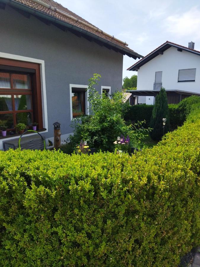 Aussergewoehnliche Atelierferienwohnung Mit Balkon An Der Donau Winzer Ngoại thất bức ảnh