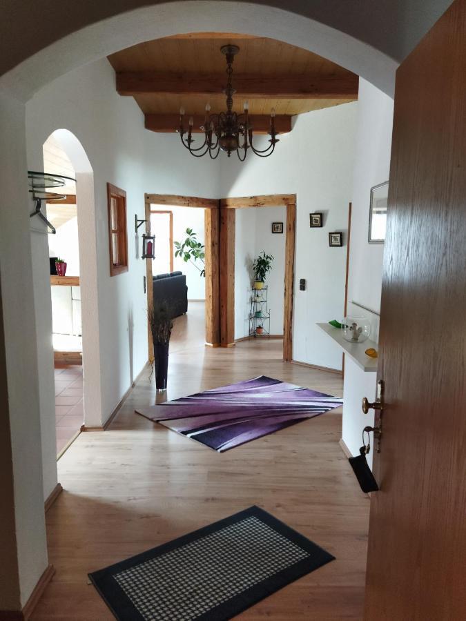 Aussergewoehnliche Atelierferienwohnung Mit Balkon An Der Donau Winzer Ngoại thất bức ảnh