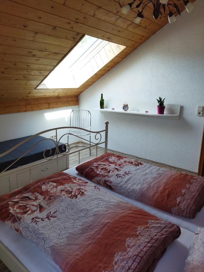 Aussergewoehnliche Atelierferienwohnung Mit Balkon An Der Donau Winzer Ngoại thất bức ảnh