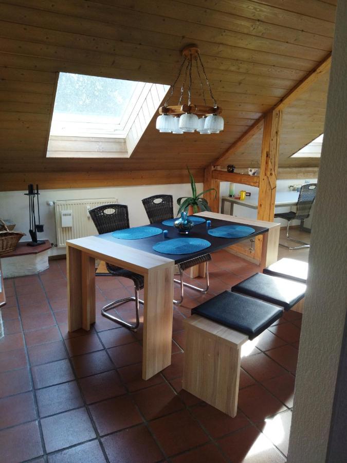 Aussergewoehnliche Atelierferienwohnung Mit Balkon An Der Donau Winzer Ngoại thất bức ảnh