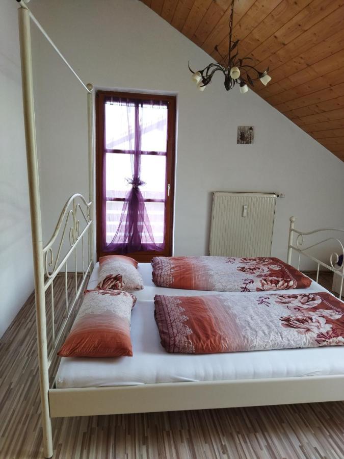 Aussergewoehnliche Atelierferienwohnung Mit Balkon An Der Donau Winzer Ngoại thất bức ảnh