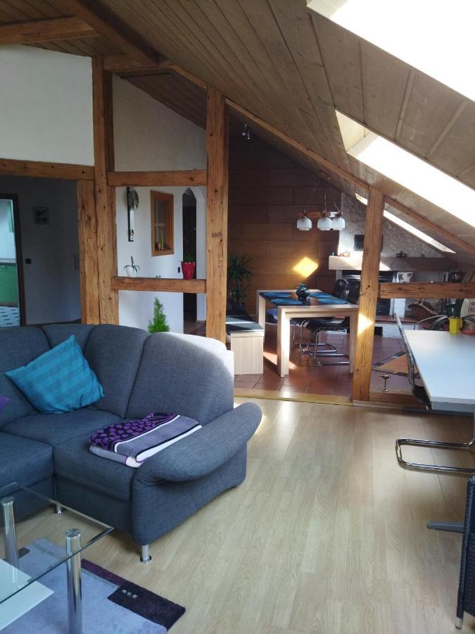 Aussergewoehnliche Atelierferienwohnung Mit Balkon An Der Donau Winzer Ngoại thất bức ảnh