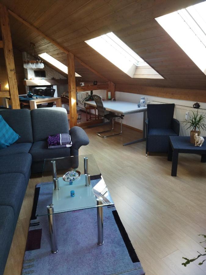 Aussergewoehnliche Atelierferienwohnung Mit Balkon An Der Donau Winzer Ngoại thất bức ảnh