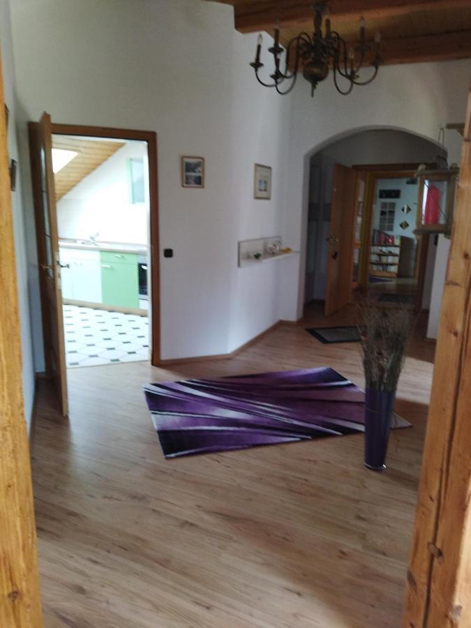 Aussergewoehnliche Atelierferienwohnung Mit Balkon An Der Donau Winzer Ngoại thất bức ảnh