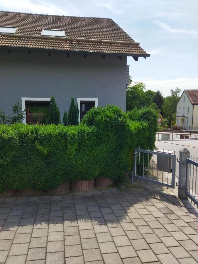 Aussergewoehnliche Atelierferienwohnung Mit Balkon An Der Donau Winzer Ngoại thất bức ảnh