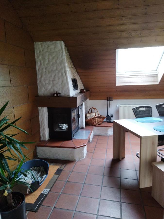 Aussergewoehnliche Atelierferienwohnung Mit Balkon An Der Donau Winzer Ngoại thất bức ảnh