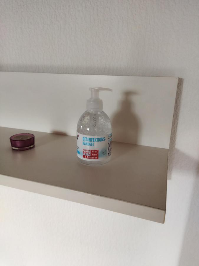 Aussergewoehnliche Atelierferienwohnung Mit Balkon An Der Donau Winzer Ngoại thất bức ảnh