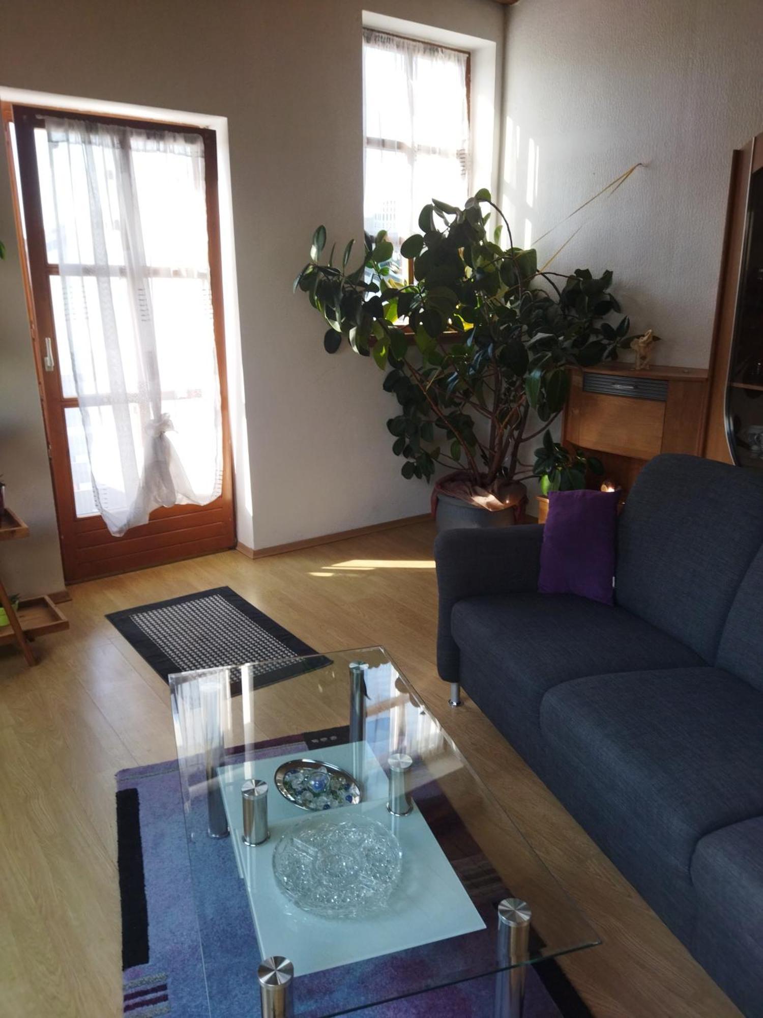 Aussergewoehnliche Atelierferienwohnung Mit Balkon An Der Donau Winzer Ngoại thất bức ảnh