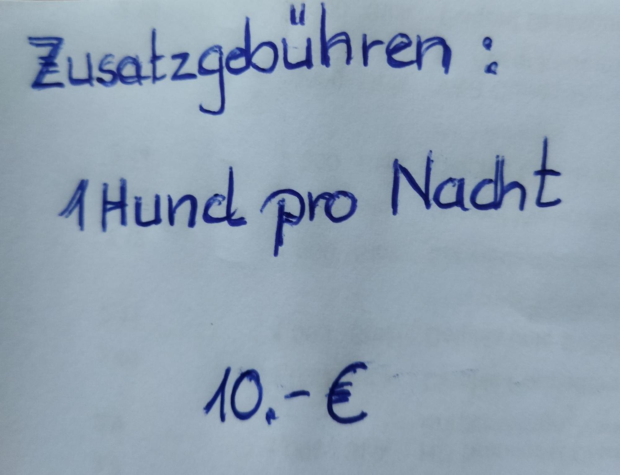 Aussergewoehnliche Atelierferienwohnung Mit Balkon An Der Donau Winzer Ngoại thất bức ảnh